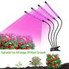 Grow Lights for Indoor Plants, iMounTEK 80W 80 LEDs Plant Lights