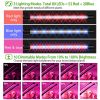 Grow Lights for Indoor Plants, iMounTEK 80W 80 LEDs Plant Lights