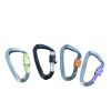 Aluminum Carabiner Clips 5 Pack  D Shape, Keychain Buckles D-Ring Locking